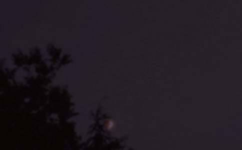 ��������QQ�ʺ������64��