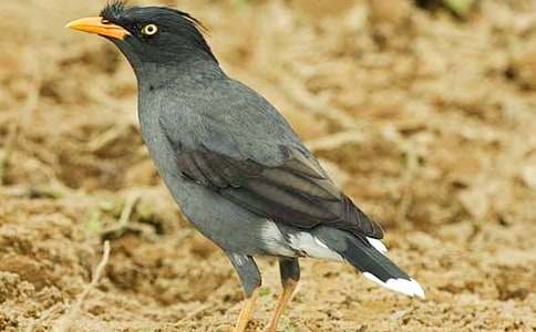 ����ѻ�����������