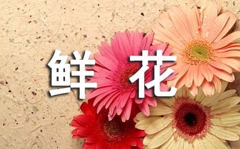 开满鲜花的小路教案