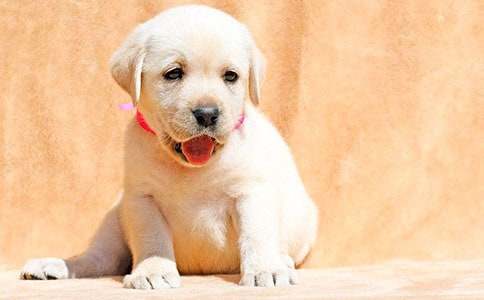 ��ʵ�á�����С��������300����ƪ