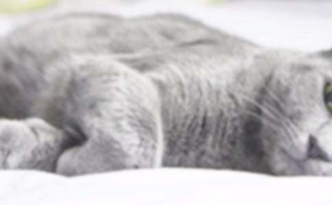 ʵ�õ�Сè������300��5ƪ