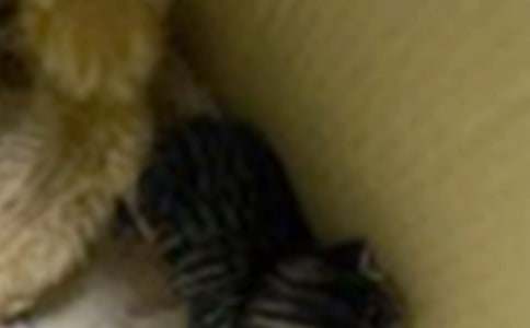 �й���ϲ����Сè������300�ּ�����ƪ