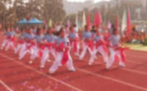 小学运动会的活动总结