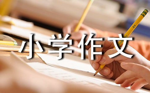 自我介绍小学作文(合集15篇)