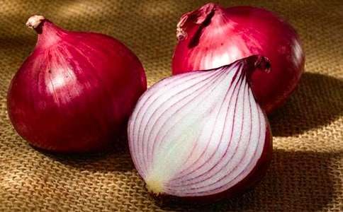 《洋葱头历险记》读后感精选15篇