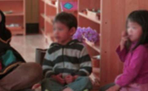 ʵ�õ��׶�԰��ѧ԰�ܽ�ģ�弯����ƪ