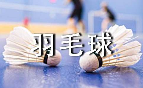 羽毛球比赛活动总结汇编15篇