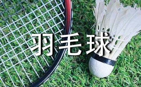 羽毛球比赛活动总结