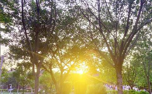 ���Ƽ����簲�ʺ�����ż���37��