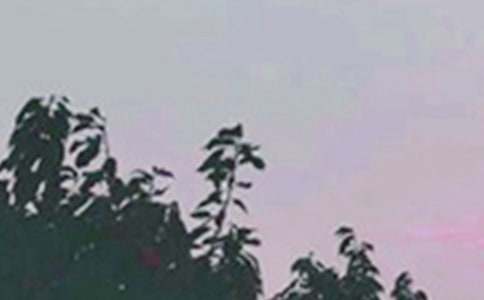 �й���ܰ���簲�ʺ���25��