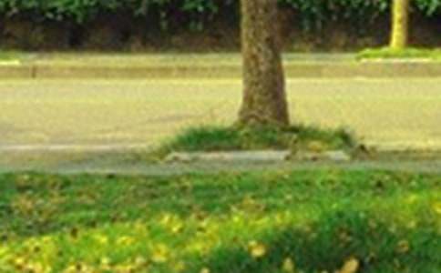 �����������õ��簲QQף�����ϼ�50��