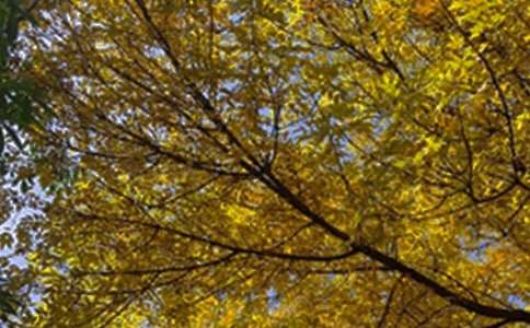 2023年有关美好的早安微信祝福语29句