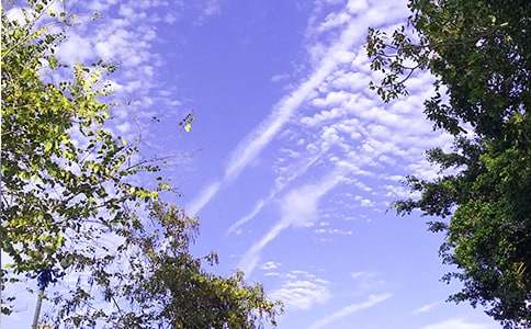 美好的早安祝福语汇总63条