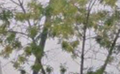 【必备】美好的早安朋友圈祝福语19条