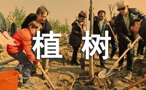 植树问题教学反思(汇编15篇)
