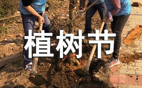 幼儿园植树节亲子活动总结