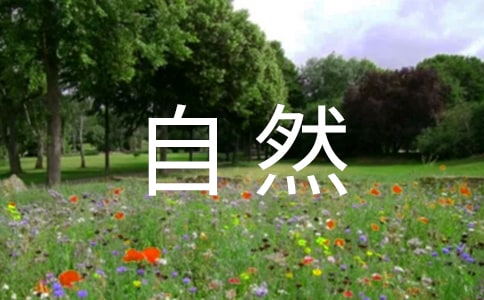 《大自然的声音》教学反思(通用16篇)