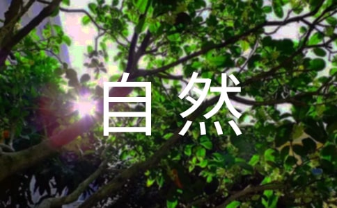 大班宣传画教案:关爱大自然