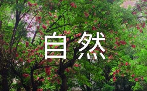 一年级自然教案