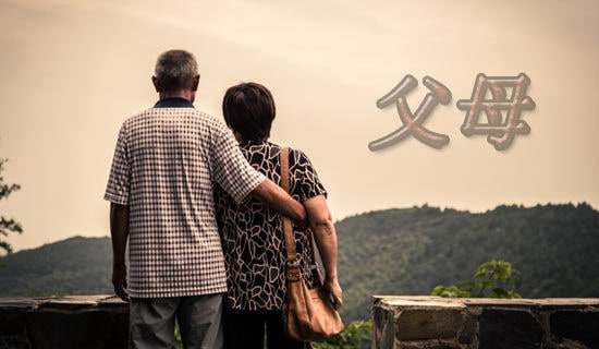 《父母的心》教案