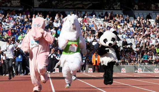 �˶�����ڹ����ܽ�