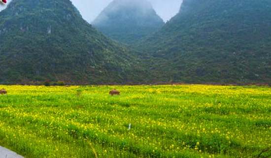大班春游活动的教学反思